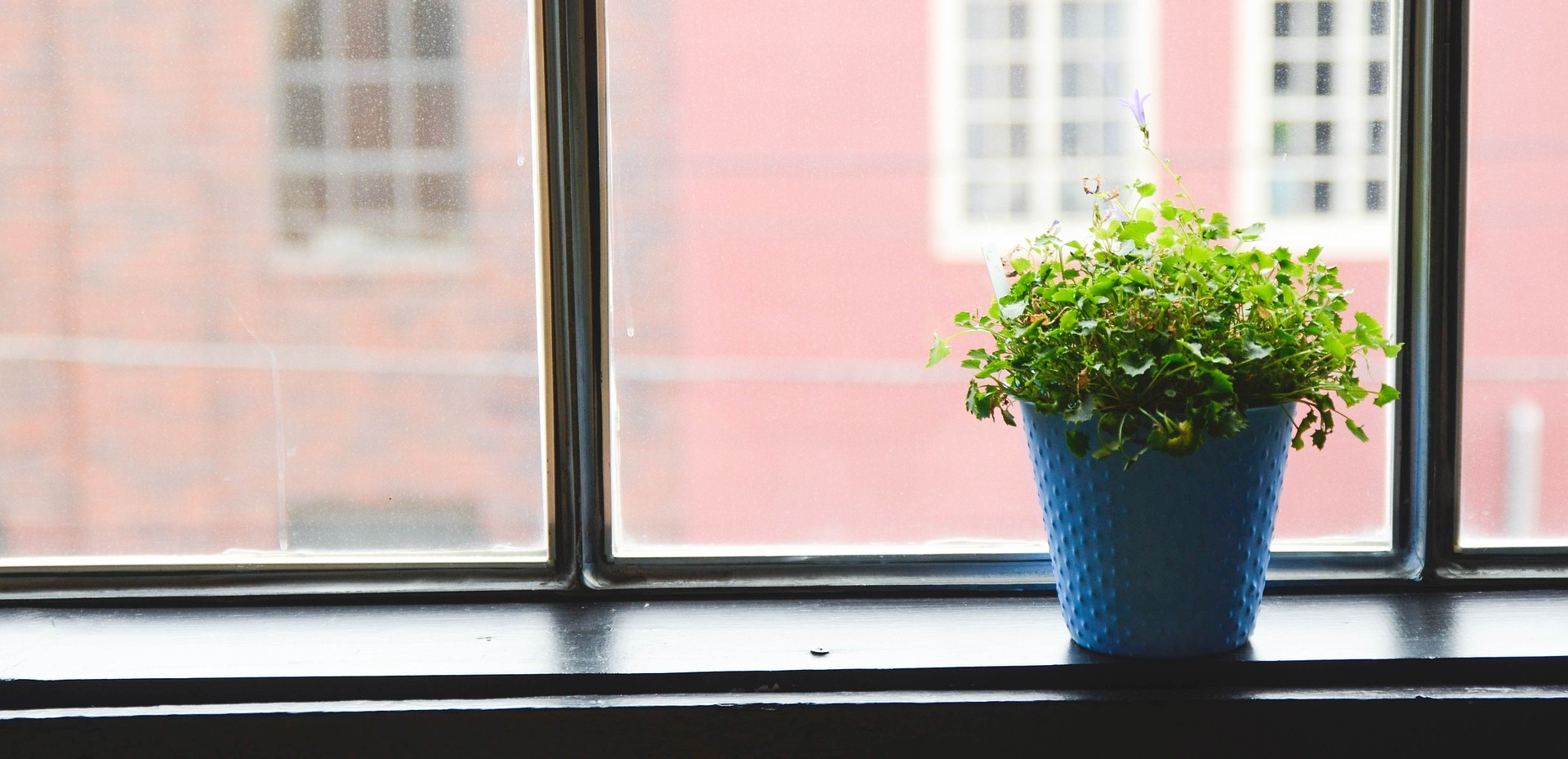 windowsill